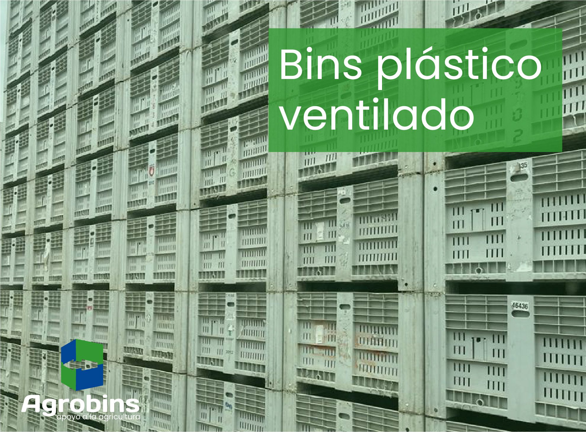 fotos-04