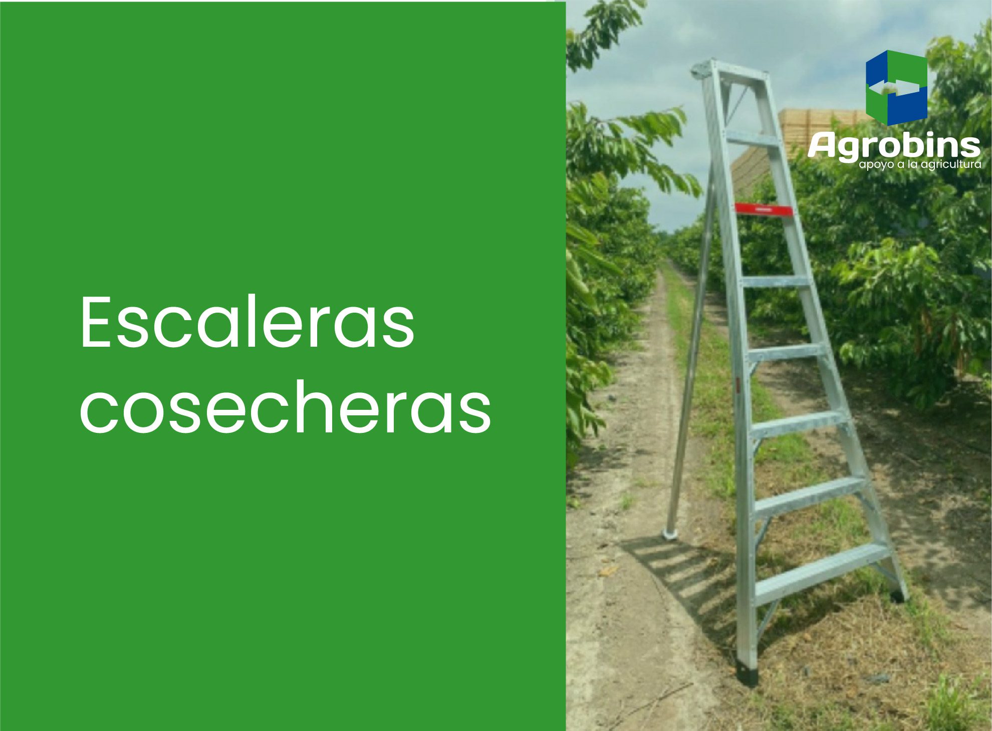 fotos-06